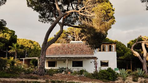 Inside designer Carolina Irving's Portuguese house Corner Wood Stove, Portuguese House, Carolina Irving, Chic Patio, House With Land, Laying Decking, Cozy Garden, Built In Banquette, Outdoor Furniture Ideas