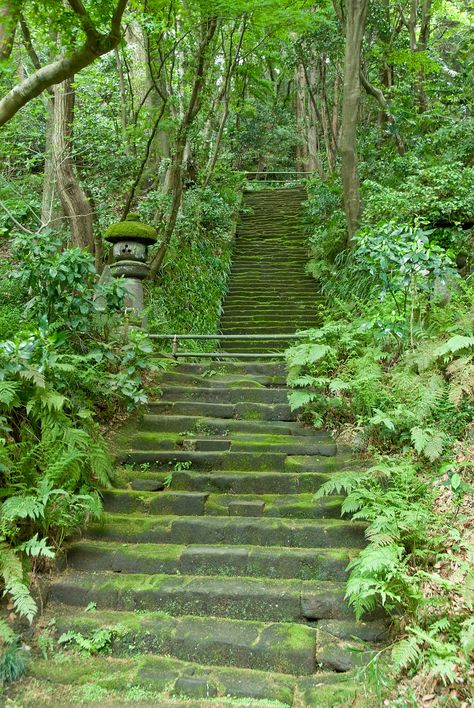 Saiho-ji, the Moss temple in Kyoto | Myōhō–ji - Religion-wiki Moss Temple, Winter In Japan, Japanese Forest, Zen Moments, Enchanted Wood, Moss Garden, Garden Images, Kyoto Japan, Zen Garden