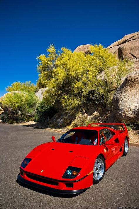 Ferrari F40 Old Farari Car, Ferrari 400 Superamerica, Ferrari 275 Gtb, Ferrari 328, Alpha Romeo, Red Ferrari, New Ferrari, Ferrari California, Exotic Sports Cars