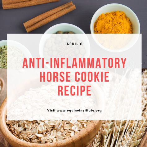 Applesauce Horse Treats, Diy Horse Snacks, Healthy Horse Treats, Horse Treat Recipes, Diy Horse Treats, Horse Treats Recipe, Puppies Stuff, Horse Cookies Recipes, Homemade Horse Treats