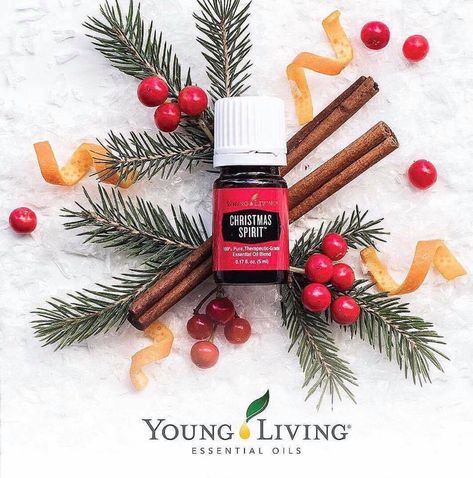 BRING ON THE CHRISTMAS SPIRIT!!! Young Living Christmas Spirit, Christmas Spirit Essential Oil, Christmas Diffuser Blends, Helichrysum Essential Oil, Cinnamon Bark, Living Essentials Oils, Oil Color, Living Essentials, Young Living Oils