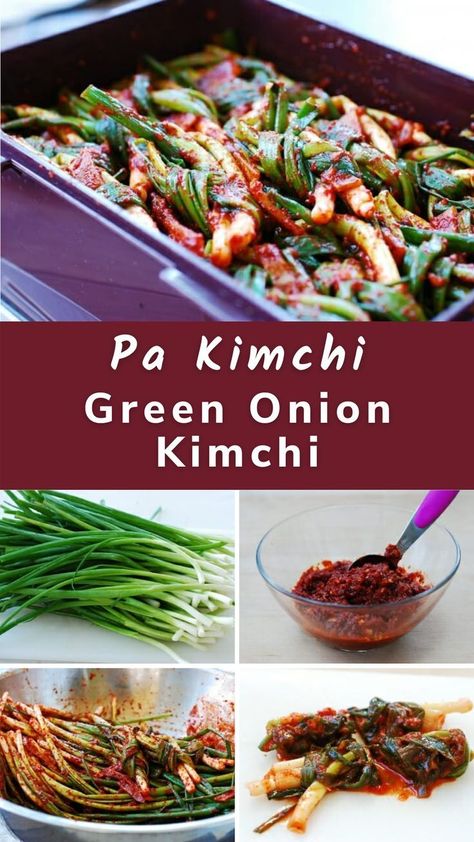 Pa Kimchi (Green Onion Kimchi) Green Onion Kimchi, Onion Kimchi, Vegan Kimchi Recipe, Quick Kimchi, Korean Food Side Dishes, Easy Kimchi, Green Onions Recipes, Scallions Recipes, Fermented Kimchi