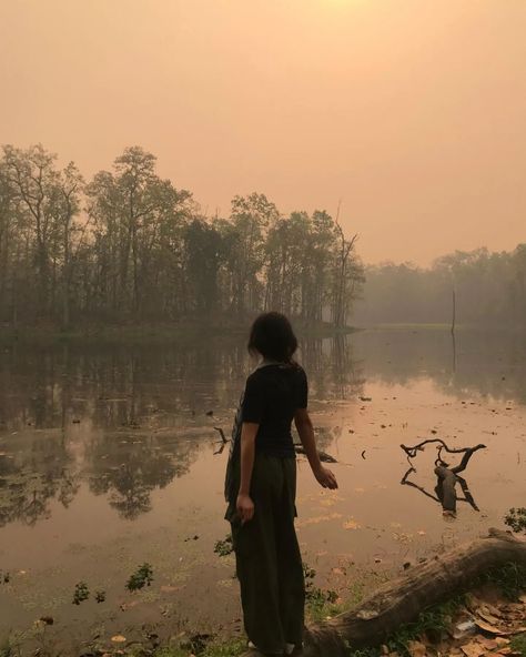 Chitwan..🌳 Chikmanglur Photography, Lucknow Photography, T Nagar Chennai Photography, Chitwan National Park Photography, Chitwan Nepal, Belly Pics, Best Instagram Stories, Beautiful Eyes Pics, April 13