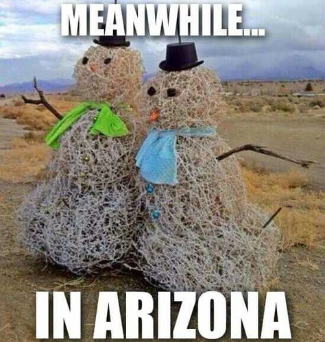 Snowmen are different everywhere!  Posted to FB 1/27/18 Arizona Humor, Weather Memes, Texas Winter, Texas Humor, Texas Weather, Holiday Wishes, Super Funny, Christmas Humor, Holiday Spirit