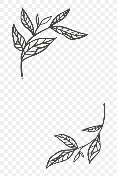 Frame Transparent Background, Png Frame, Flower Line Art, Line Border, Illustration Flower, Decorative Lines, Floral Ornament, Line Flower, Art Line