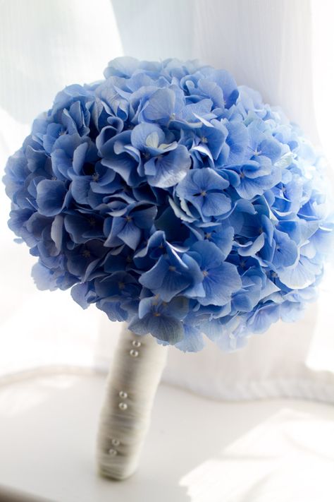 Hydrangea bouquet My Bridesmaids and Jr Bridesmaids Bouquets. Blue Hydrangea Bouquet, Blue Hydrangea Flowers, Hydrangea Bouquet, Hydrangeas Wedding, Blue Wedding Flowers, Prom Flowers, Hand Bouquet, Hydrangea Flower, Blue Hydrangea