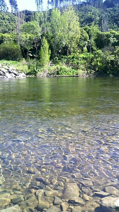 New Zealand- Hitt River, Lower Hutt Lower Hutt New Zealand, Lower Hutt, Beautiful Views, New Zealand, Natural Landmarks, Water, Travel, Nature