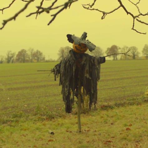 halloween scarecrow pumpkin head Scary Scarecrow, Yard Haunt, Halloween Scarecrow, Horror Themes, Pumpkin Head, Halloween Props, Samhain, Scarecrow, Halloween Kids