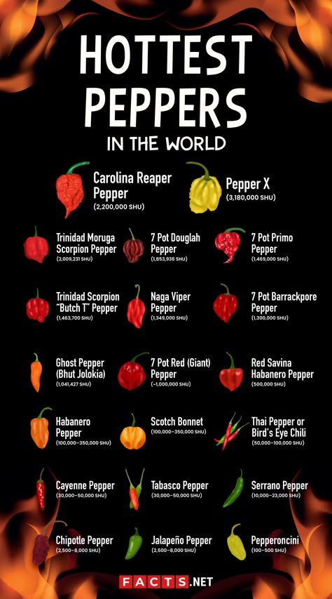 Tabasco Pepper Recipes, Hot Pepper Chart, Chilli Packaging, Ghost Pepper Recipes, Pepper Scale, Types Of Chili, Types Of Chili Peppers, Tabasco Pepper, Cooking The Perfect Steak