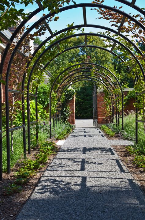 Arch Pathway Garden, Arch Walkway, Arched Walkway, Garden Arch Ideas, Arch With Flowers, Garden Path Ideas, Garden Archway, Terrace Garden Ideas, English Garden Design