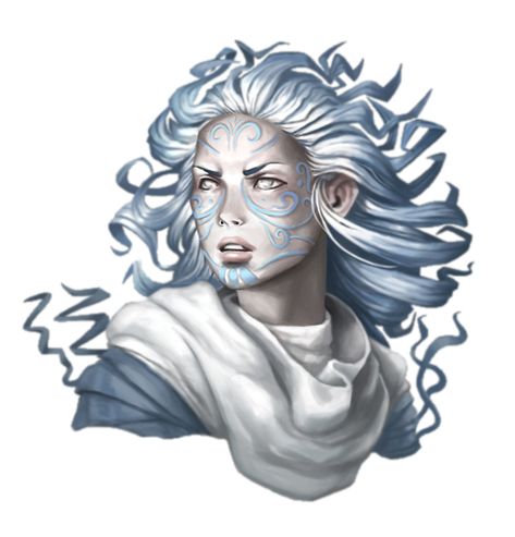 Female Sylph Portrait - Pathfinder PFRPG DND D&D 3.5 5E 5th ed d20 fantasy Air Genasi Female Barbarian, Air Genasi Female Druid, Fantasy Facial Markings, Wind Elemental Female, Air Genasi Female Sorcerer, Air Elemental Art, Air Genasi Paladin, Wind Genasi, Air Genasi Wizard