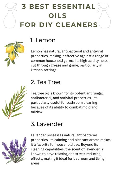 3 best diy essential oils for homemade cleaners. Lemon, tea tree and lavender oil Natural Home Cleaners, Essential Oil Cleaning Recipes, Essential Oil Cleaning, Willow And Sage, Natural Cleaning Solutions, Eco Friendly Cleaning Products, Home Tricks, Essential Oils Cleaning, Diy Cleaning Solution