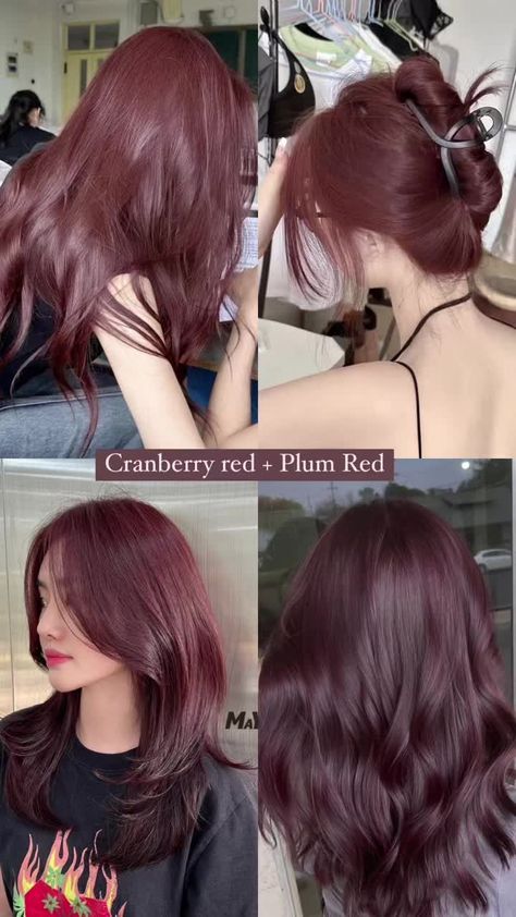 haircolor Pale Olive Skin Tone Hair Color, Hair Colours For Cool Skin Tones, Mix Hair Color Ideas, Asian Hair Color Ideas Korean, Hair Color Ideas Without Bleaching, Deep Autumn Hair Color Ideas, Hair Colours For Pale Skin, Asian Dyed Hair, Berry Hair Color