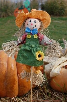 How to Make a Homemade Scarecrow? #scarecroiw  #craft  #gardening Make A Scarecrow, Scarecrows For Garden, Scarecrow Doll, Diy Scarecrow, Scarecrow Crafts, Adornos Halloween, Halloween Costume Contest, The Crow, Doll Art