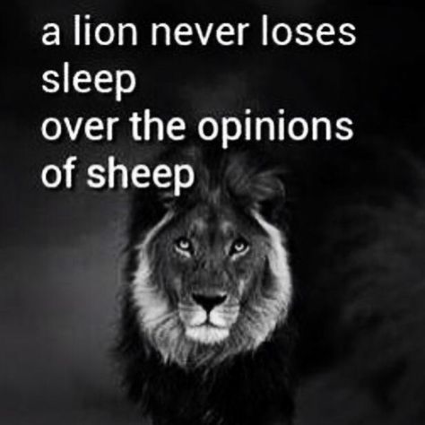 Lions vs. sheep Lion Quotes, Sleep Over, Life Quotes Love, A Lion, Quotes About Strength, A Quote, True Words, Great Quotes, Islamic Quotes