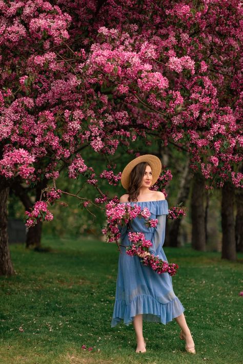 Blossom Pictures, Cherry Blossom Pictures, Jacaranda Tree, Flower Photoshoot, Flower Leaves, Spring Photos, Flowering Trees, Photo Pose, Photoshoot Poses