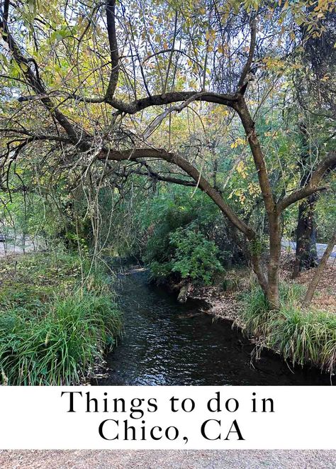 A comprehensive list of things to do in Chico including delicious food, great shopping, and the best coffee in Chico! Things To Do In Chico California, Chico State, California Travel Guide, Chico California, Eco Travel, Travel Photography Inspiration, Bike Path, Weekend Breaks, List Of Things