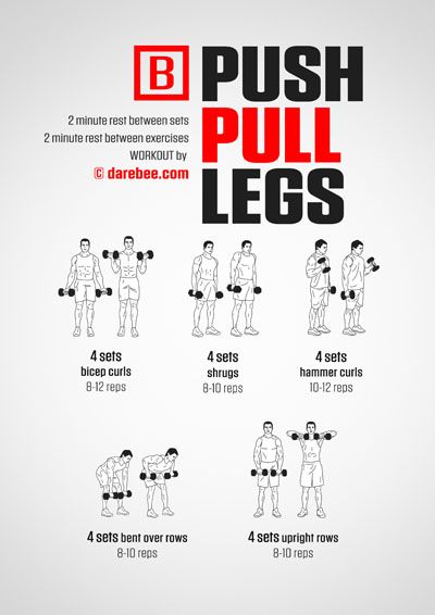 Push Pull Legs Workout, Dumbbell Workout Routine, Dumbbell Workout Plan, Push Pull Workout, Pull Day Workout, Dumbbell Workout At Home, Workout Labs, Push Pull Legs, Full Body Dumbbell Workout