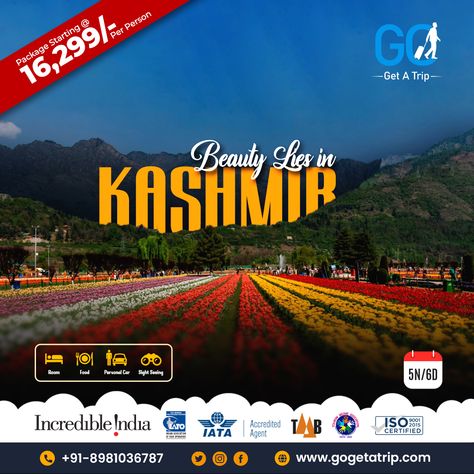 Discover the surreal beauty of Kashmir with exclusive tour packages available at the cheapest rates. Contact us at +91-8981036787 #kashmirtour #heavenonearth #heavenonearth😍 #incredibleindia #incredible_shot #indiatravelgram #coupletravelbloggers #indiancouple #kashmir #kashmirtourism #kashmiri #kashmirvalley #sinthantop #offbeatplacesinindia #incredibleindiaofficial #travelingram #travelrealindia #travelindiadiaries #kashmirbeauty #jammukashmir #snow #snowinkashmir Beauty Of Kashmir, Kashmir Tourism, Surreal Beauty, Kashmir Tour, India Book, Cheap Flight, Cheap Flight Tickets, Book Tour, Flight Tickets