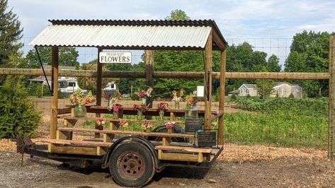 We hand-crafted our flower farmstand using an old trailer that had been trashed in the woods. The wood for the shelves came from a fallen tree in our yard + the metal roof was also salvaged from a junk pile! Fallen Tree, Farm Store, Farm Stand, Fresh Cut Flowers, Farm Table, Flower Farm, Metal Roof, Autumn Trees, Cut Flowers