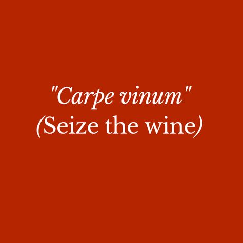 Latin Captions For Instagram, Wine Captions Instagram Sassy, Wine Captions Instagram, Latin Proverbs, Twitter Quote, Idioms And Proverbs, Latin Quotes, Red Words, Latin Phrases