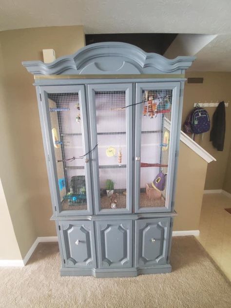 China Cabinet Bird Cage, Zebra Finch Cage Ideas, Diy Aviary, Cockatiel Care, Finch Cage, Ferrets Care, Budgie Cage, Cockatiel Cage, Diy Bird Cage