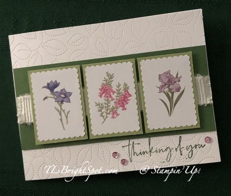 Stampin Up Wonderful World, Fancy Fold Cards, Crafting Paper, Be Thankful, Stamping Up Cards, Be Safe, Wonderful World, Card Layout, Floral Cards