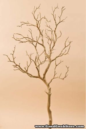 Tree Branch Wedding, Artificial Tree Branches, Twig Christmas Tree, Manzanita Tree, Manzanita Branches, Christmas Vases, Magic House, Lighted Branches, Construction Ideas