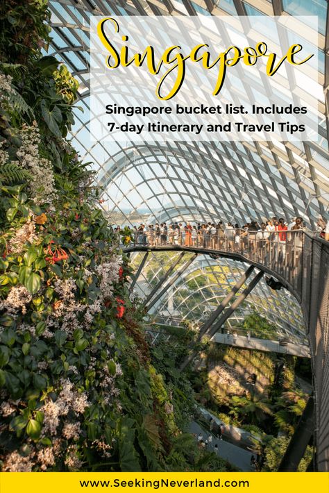 Singapore Things To Do, Singapore Guide, Singapore Itinerary, Travel Singapore, Bucket List Travel, Travel Destinations Asia, Singapore Travel, Asia Travel Guide, Southeast Asia Travel