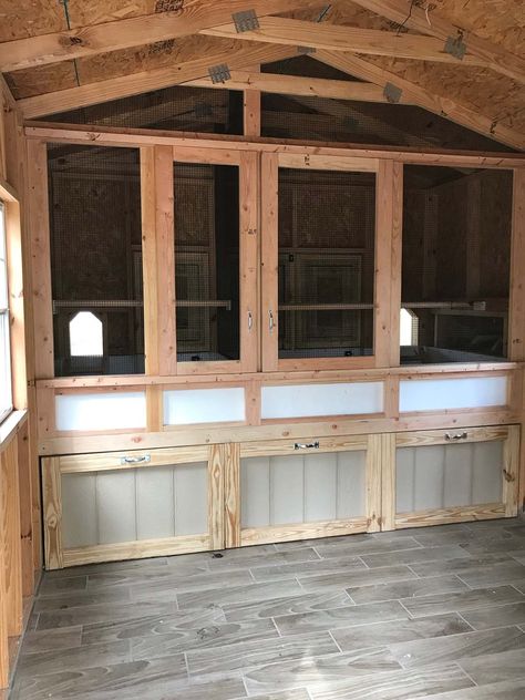 Chicken Condo, Shed Chicken Coop, Homesteading Hacks, Duck Stuff, Walk In Chicken Coop, Chicken Shed, Chicken Barn, Custom Backyard, Goat Barn