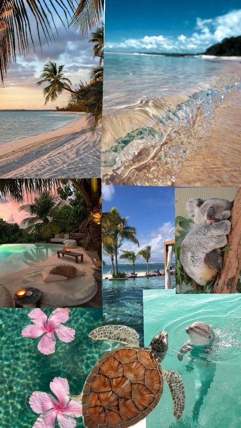 Miami ✨ Miami Aesthetic, Vision Board Planner, Summer Things, Dream Places, Prayer Board, 2025 Vision, Summer Aesthetic, Travel Destinations, Miami