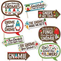 Gnome Sayings Funny, Gnome Sayings, Holiday Party Photo Booth, Crowd Photo, Bubble Photo, Gnome Party, Funny Garden Gnomes, Forest Gnome, Funny Photo Booth