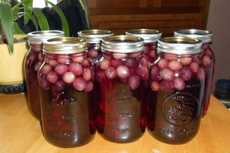 Grape Juice in a Jar Canning Grape Juice, Canning Juice, Homemade Grape Juice, Grape Juice Recipe, Keto Juicing, Concord Grapes, Canning Fruit, Home Canning Recipes, Grape Recipes