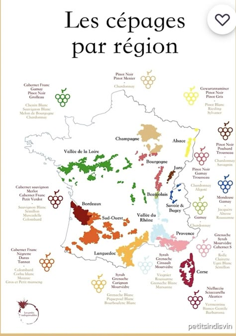 France Wine Map, France Wine Region Map, Wine Regions Of France, Wine Region Map, French Wine Regions, Wine Chart, Wine Sommelier, Wine Map, Regions Of France