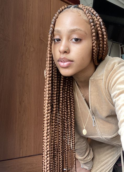 Brown Big Box Braids, Honey Brown Box Braids, Honey Braids, Brown And Blonde Box Braids, Honey Brown Braids, Honey Blonde Box Braids, Brown And Blonde Braids, Honey Blonde Braids, Brown Box Braids