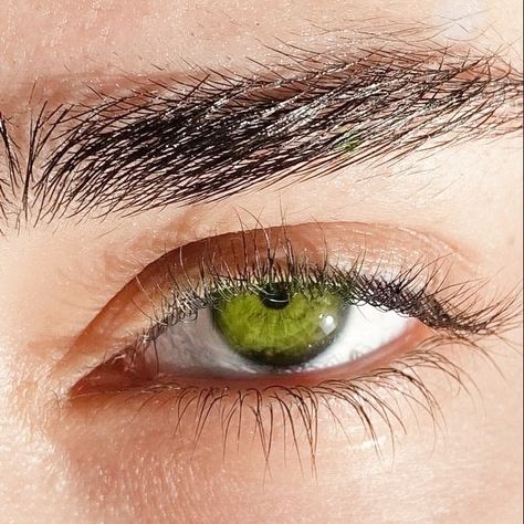 Eyes Looking At You, Gemstone Green Eyes, Pale Green Eyes Aesthetic, Emerald Green Eyes Aesthetic, Types Of Green Eyes, Light Green Eyes Aesthetic, Mint Green Eyes, Forest Green Eyes, Green Eye Contacts