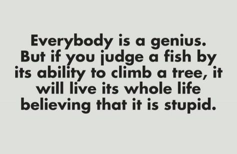 Everyone is smart. But If you judge a fish by its ability to climb a tree,it will live its life thinking it's stupid Climb A Tree, Jesus Quotes, A Tree, Climbing, Things To Think About, Jesus, Fish, Quotes