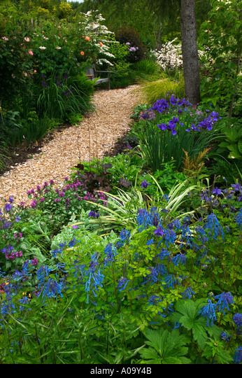 Wood chip path at Northwest Garden Nursery Eugene Oregon Wood Chip Garden, Wood Chip Path, Wood Chips Garden, Landscape Berm, Hedges Landscaping, Northwest Garden, Garden Nursery, Family Garden, Wood Chips