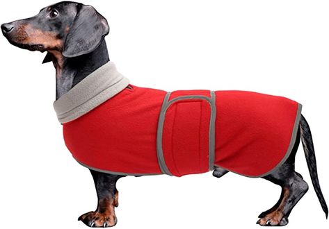 Dachshunds Dog, Dog Snowsuit, Dachshund Sweater, Dachshund Clothes, Puppy Coats, Miniature Dachshunds, Dog Winter, Dog Winter Coat, Dog Fleece