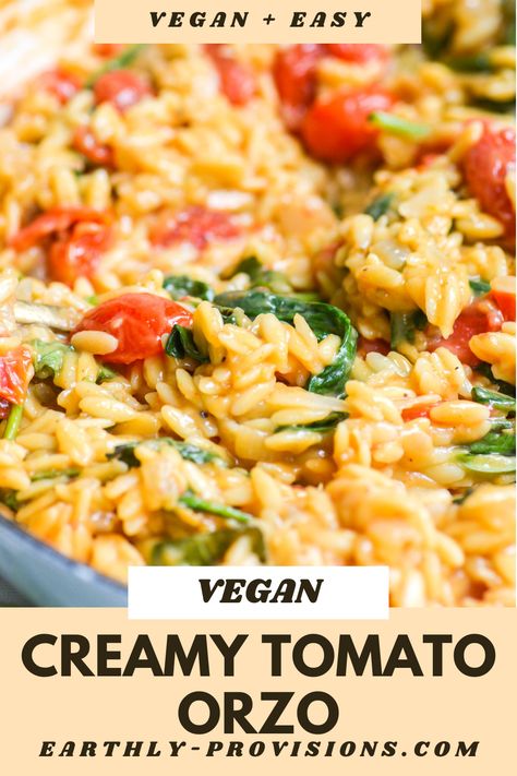 Get ready to dig into some seriously yummy Creamy Vegan Tomato Orzotto! It's like risotto but with orzo pasta instead of rice, giving it a fun twist. Plus, it's all made in just one pan, making cleanup a breeze. This easy vegan dinner recipe requires with only 10 ingredients, so you can have a tasty meal in no time! Creamy Vegan Orzo, Fancy Risotto, Vegan Orzo, Vegan Pasta Noodles, Orzo Pasta Recipes, Vegan Risotto, Pasta Noodle Recipe, Noodle Recipes Easy, Orzo Recipes