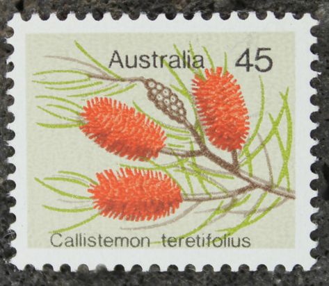 Australian stamps first introduced in the 1970s featuring callistemon teretifolius.  These stamps are upcycled into custom cuff links by  HudsonBlueAritisans.etsy.com Flora Flowers, Custom Cufflinks, Office Items, Post Stamp, July 2022, Flower Stamp, Postal Stamps, Old Paper, Postage Stamp