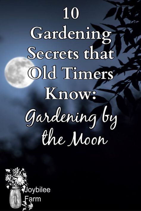 Moon Garden Ideas Backyards, Witches Garden Design, Moon Garden At Night, Witch Garden Design, Moon Garden Ideas, Enchanted Garden Backyard, Magical Garden Ideas, Moon Gardening, Gardening By The Moon