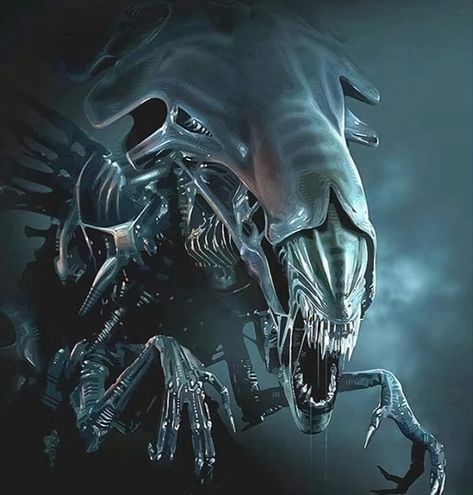 Xenomorph Queen Xenomorph Queen, Alien Franchise, Fermi Paradox, Lovecraft Art, Aliens Colonial Marines, Giger Alien, Sylvanas Windrunner, Predator Alien Art, Giger Art