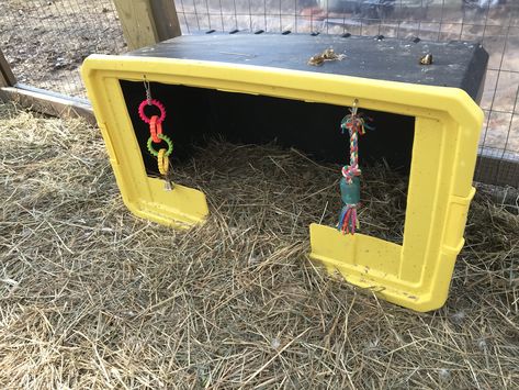 Rain Shelter For Chickens, Toys For Ducks Diy, Duck Shelter For Winter, Duck Shelter Ideas, Duck Shelter, Shed Coop, Cottages In The Woods, Animal Shelter Ideas, Duck Garden