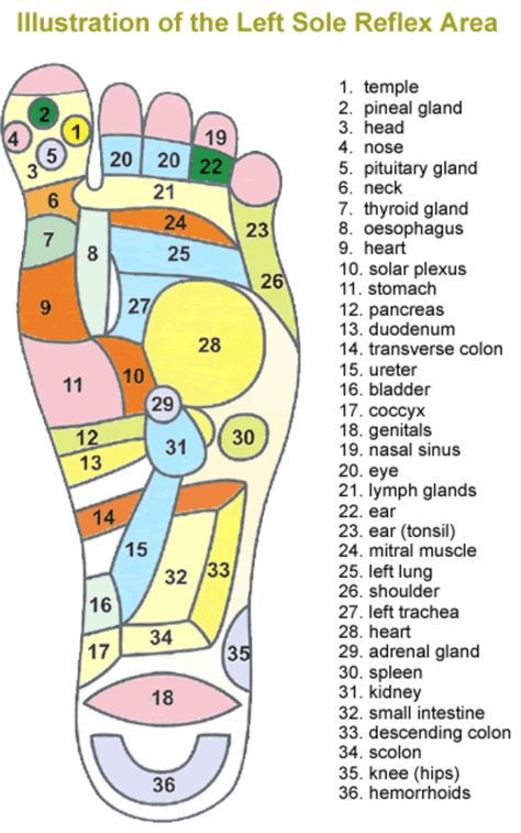 Reflexology Pressure Points, Ear Reflexology, Pressure Point Therapy, Reflexology Foot Chart, Foot Reflexology Massage, Hand Reflexology, Massage Therapy Techniques, Reflexology Chart, Reflexology Massage