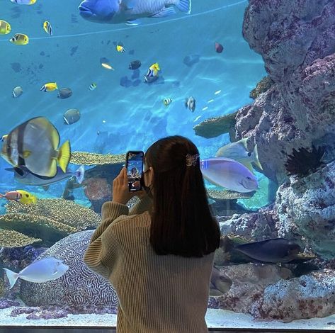 Aquarium Photos, Aquarium Pictures, Dubai Aesthetic, Beautiful Sea Creatures, Ocean Park, Aesthetic Coquette, Beautiful Sea, Foto Ideas Instagram, Instagram Photo Inspiration