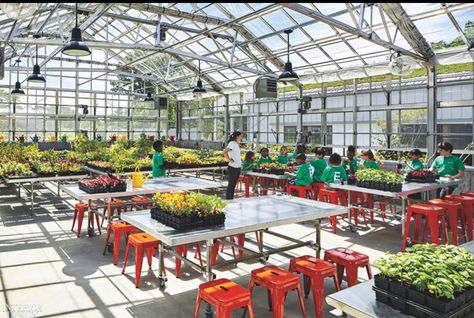 Greenhouse Classroom, School Greenhouse, College Architecture, Landscape Design Drawings, New York Botanical Garden, Timber Architecture, Urban Agriculture, Retail Inspiration, Food Insecurity