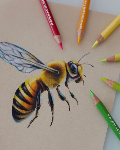 Colored Pencil Drawing Animals, Colored Pencil Animal Art, Colored Pencil Animals, Realistic Colour Pencil Drawings, Colour Pencil Drawing Ideas, Pencil Colours Art Drawings, Color Pencil Art Realistic, Realistic Drawings Colored Pencils, Pencil Colour Drawing