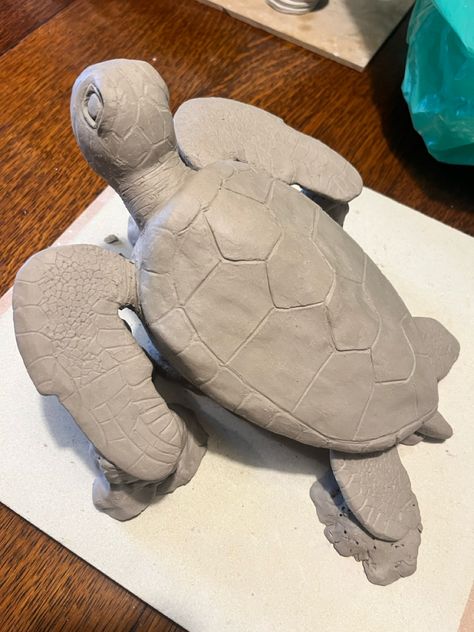 I’ve been working on a sea turtle this week, it’s taken a lot of hours but I’m really pleased with how it’s turned out. I was lucky enough to see one in the wild a couple of years ago and have been wanting to try and attempt to make one out of clay. I’m hoping it’ll make it through the whole process and to help increase that chance I’ve finished it off on the kiln shelf to reduce the risk of breaking it when I move it around. Turtle Clay Sculpture, Clay Turtles, Animal Pottery, Clay Turtle, Ceramic Turtle, Turtle Sculpture, Ocean Artwork, Cardboard Sculpture, Sculpture Projects