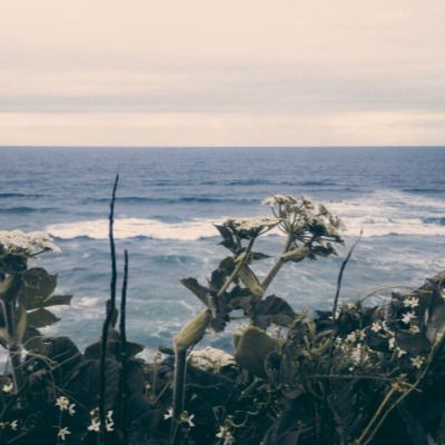 Fotografi Vintage, Ocean Vibes, Pretty Photos, Nature Aesthetic, Blue Aesthetic, Aesthetic Photo, Photo Profil, Ocean View, Pretty Pictures